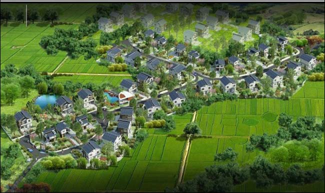 Green Oasis Villas